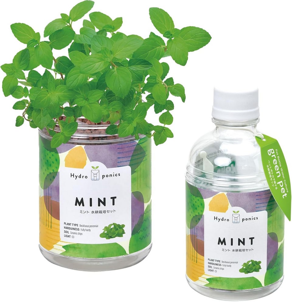 フレッシュハーブ栽培キット